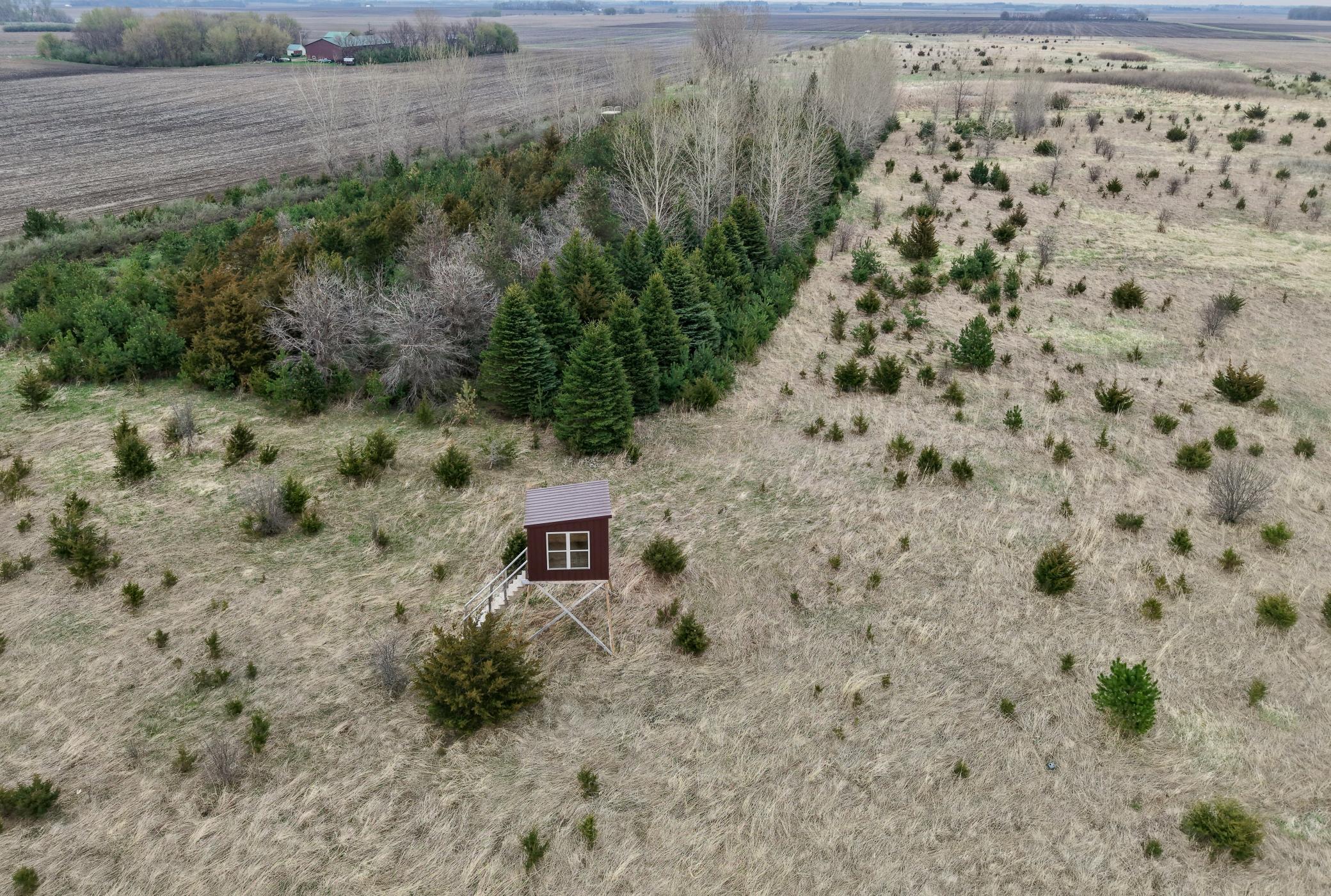 51 County Road Bingham Lake, MN 56118 - Photo 8 of 28