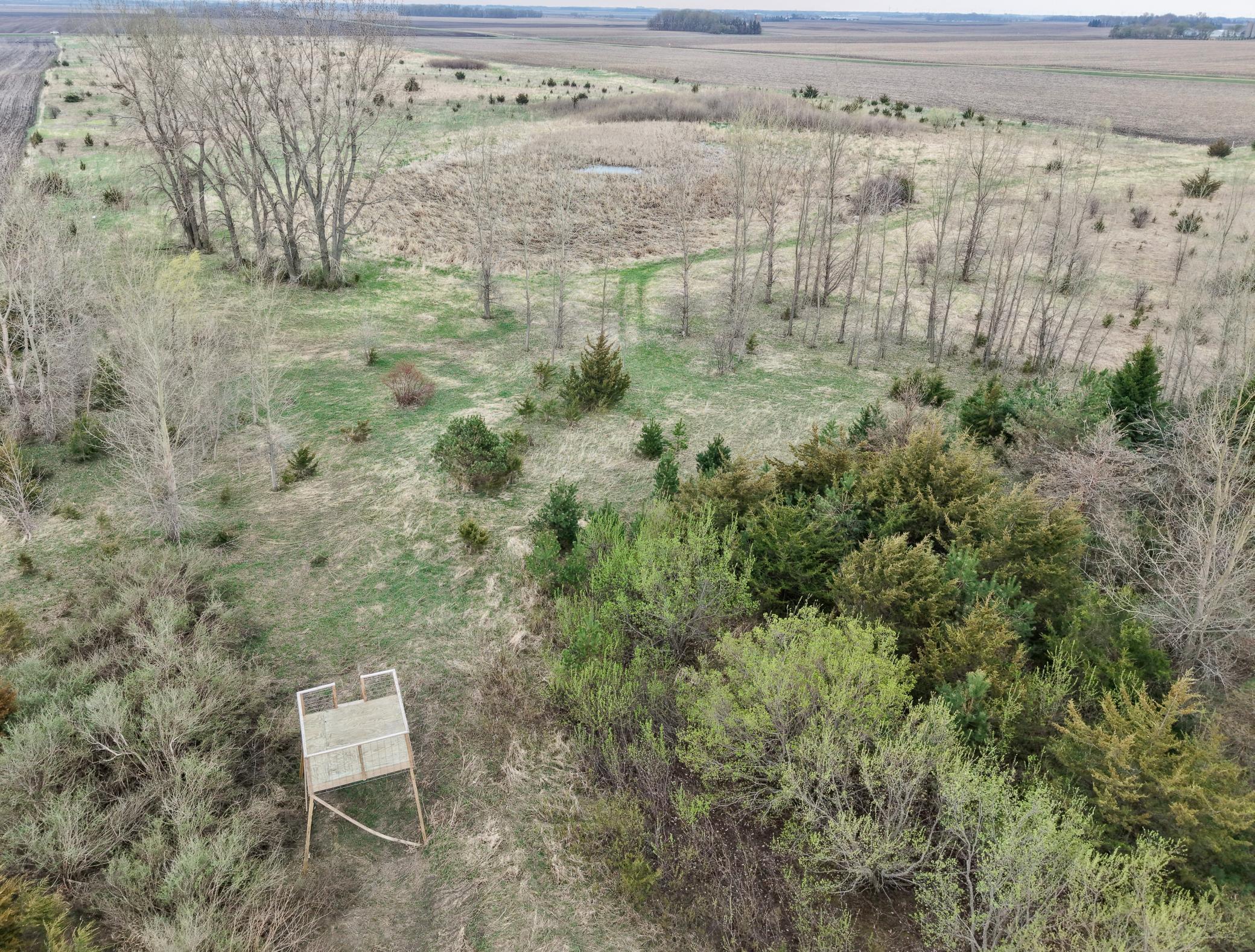 51 County Road Bingham Lake, MN 56118 - Photo 9 of 28
