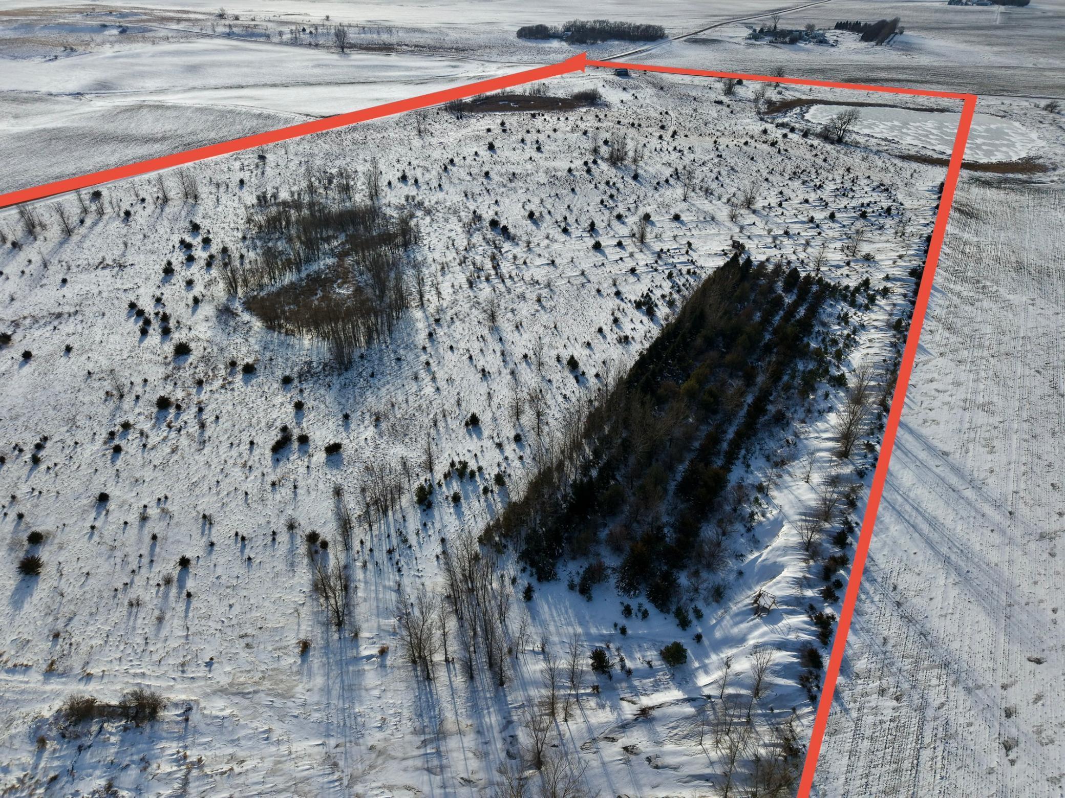 51 County Road Bingham Lake, MN 56118 - Photo 9 of 24