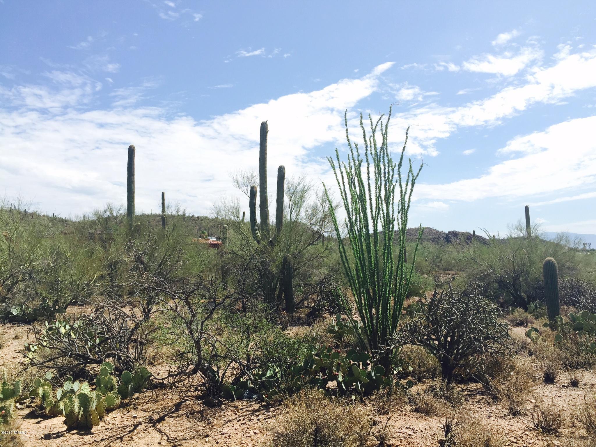 0 West Irvington Road North Tucson, AZ 85746 - Photo 1 of 4