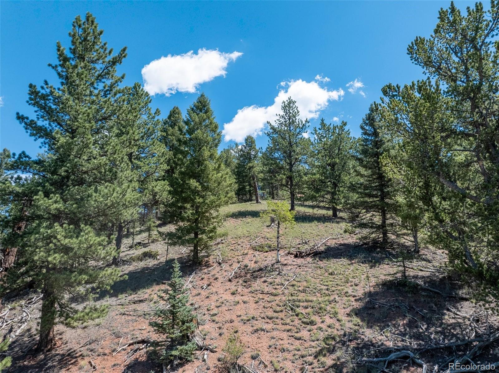 1676 Pathfinder Road Florissant, CO 80816 - Photo 6 of 32 Gallery Image 6