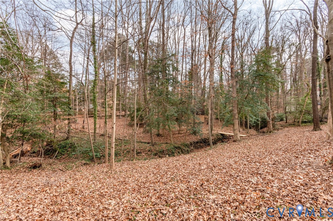 3123 Bradwill Road Richmond, VA 23225 - Photo 6 of 36 View of nature