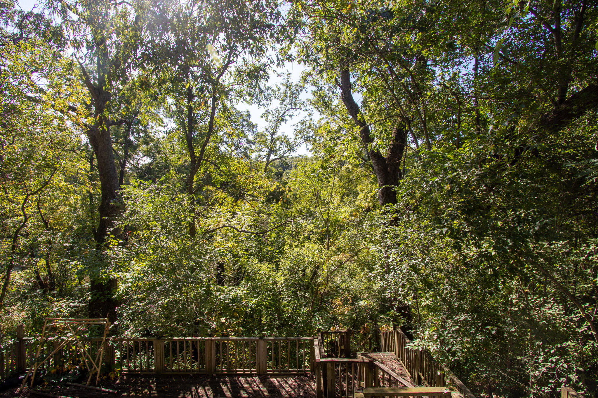 2401 Riverside Drive Lake Station, IN 46405 - Photo 27 of 28 a view of forest