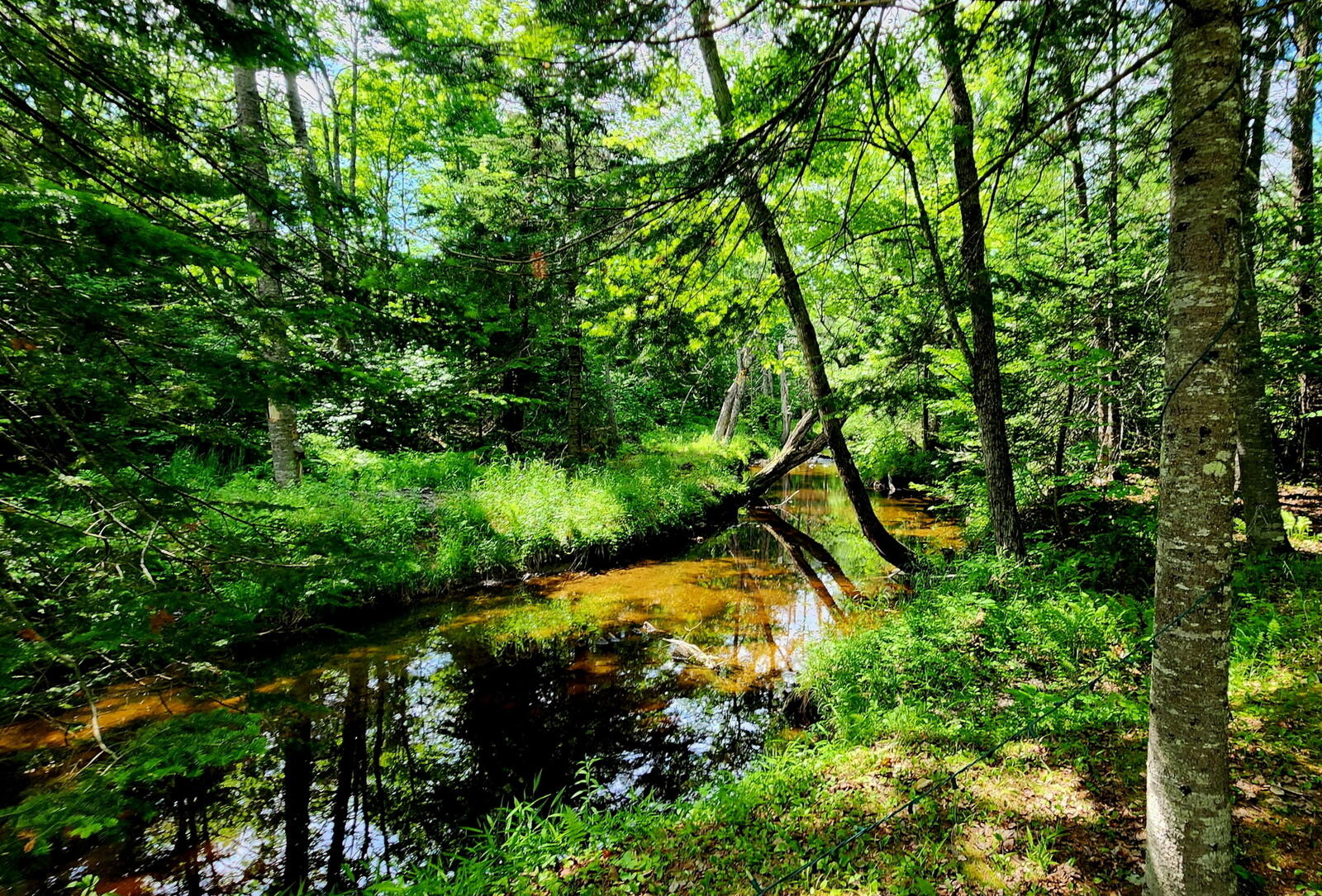 461 4 Mile Square Road Anson, ME 04911 - Photo 36 of 55