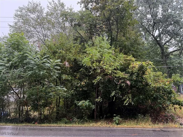 $7,000 | V/l Sanitarium Road, Akron, OH 44312