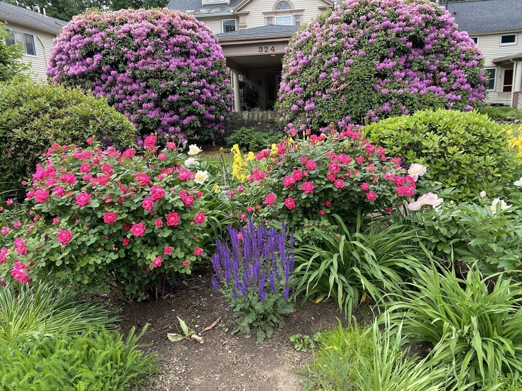 324 Union Street, Unit 1 Millis, MA 02054 - Photo 26 of 29 a view of flowers and flowers in a garden