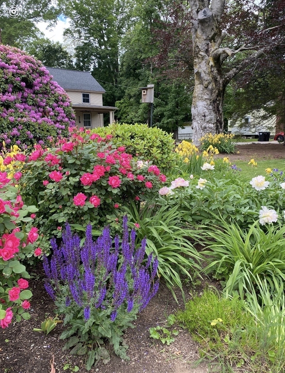 324 Union Street, Unit 1 Millis, MA 02054 - Photo 27 of 29 a view of a flower in a garden with flowers and flowers