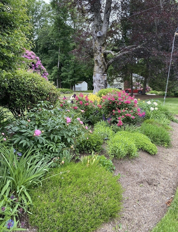 324 Union Street, Unit 1 Millis, MA 02054 - Photo 28 of 29 a backyard of a house with lots of green space and fountain