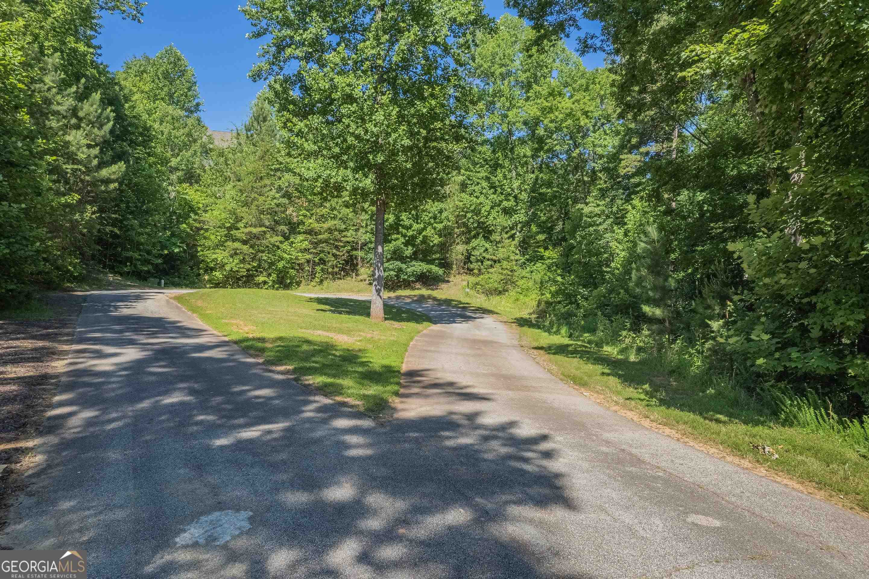 13-35 Edgewater Trail, Unit 2 35 ACRES) Toccoa, GA 30577 - Photo 11 of 22 a view of a yard with plants and large trees