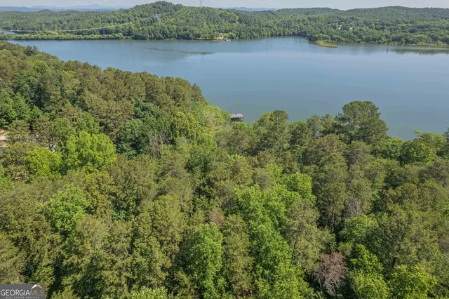 $689,000 | 13-35 Edgewater Trail, Unit 2 35 ACRES), Toccoa, GA 30577