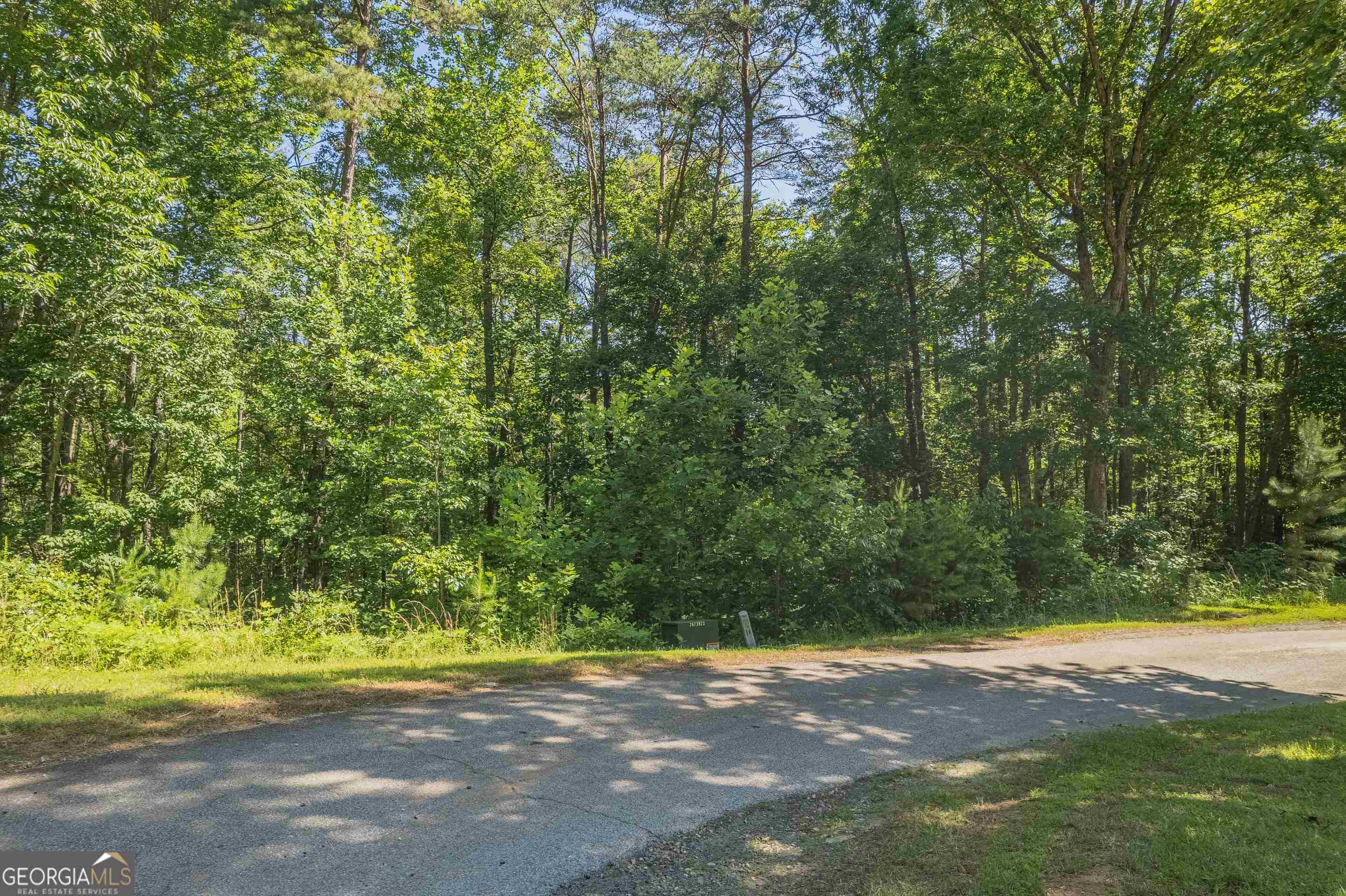 13-35 Edgewater Trail, Unit 2 35 ACRES) Toccoa, GA 30577 - Photo 14 of 22 a view of a yard with a tree