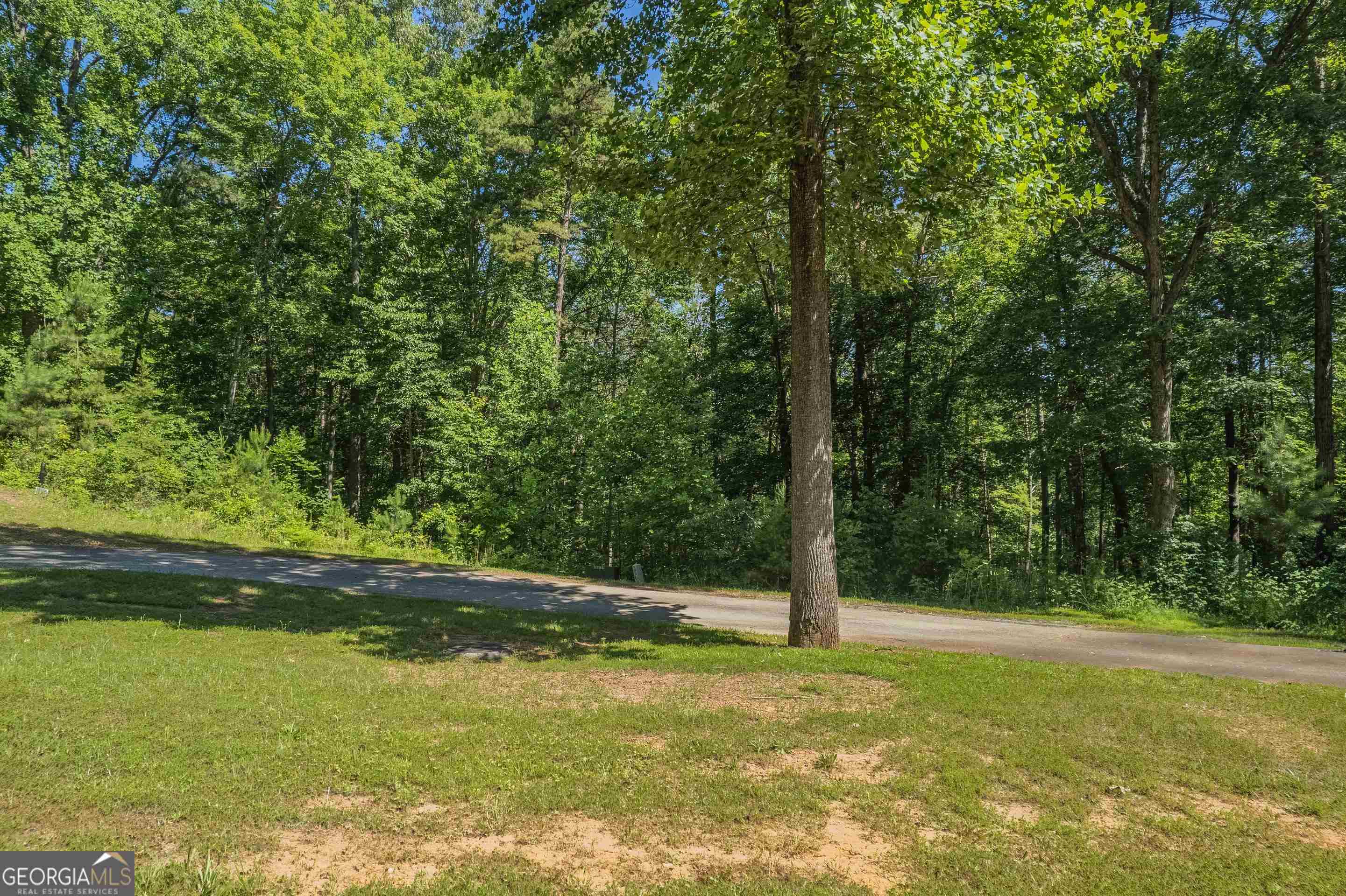 13-35 Edgewater Trail, Unit 2 35 ACRES) Toccoa, GA 30577 - Photo 15 of 22 a view of a trees with a yard