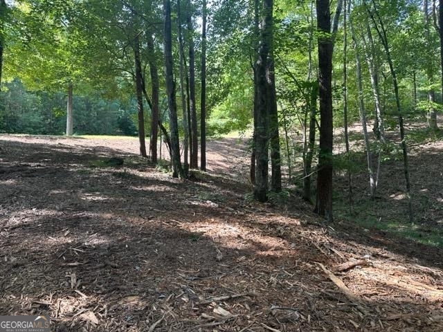 13-35 Edgewater Trail, Unit 2 35 ACRES) Toccoa, GA 30577 - Photo 18 of 22 a view of outdoor space and trees