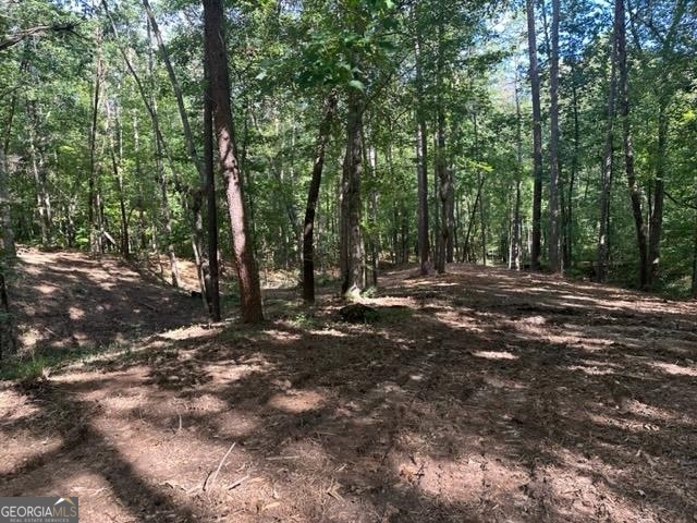 13-35 Edgewater Trail, Unit 2 35 ACRES) Toccoa, GA 30577 - Photo 19 of 22 a view of outdoor space with trees