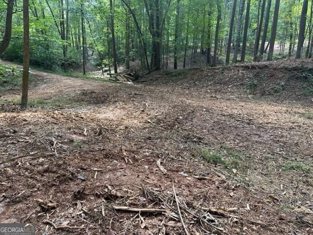 13-35 Edgewater Trail, Unit 2 35 ACRES) Toccoa, GA 30577 - Photo 20 of 22 a view of a yard with lots of trees