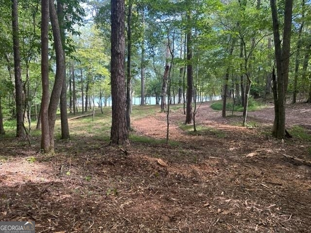 13-35 Edgewater Trail, Unit 2 35 ACRES) Toccoa, GA 30577 - Photo 21 of 22 a view of outdoor space with lots of trees