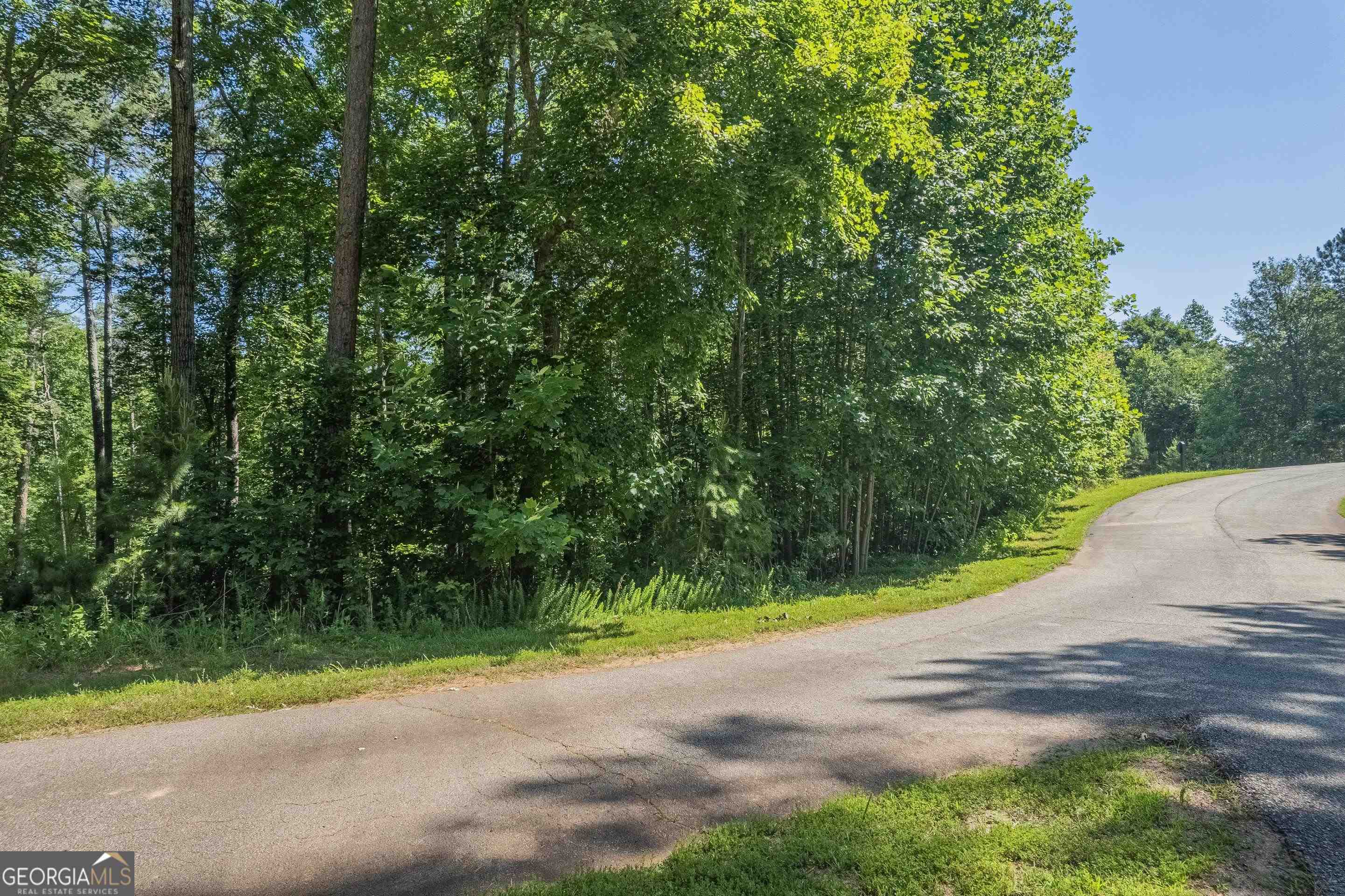 13-35 Edgewater Trail, Unit 2 35 ACRES) Toccoa, GA 30577 - Photo 10 of 22 a view of a yard with a trees