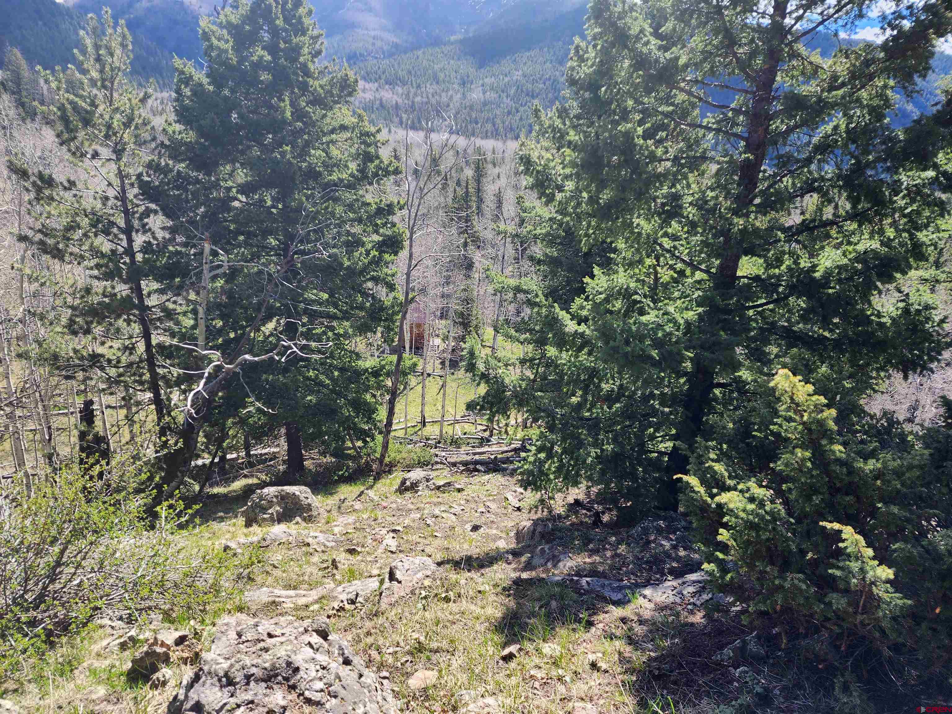 Lot 2-6 & 10-12 Spring Street Del Norte, CO 81132 - Photo 11 of 14 a view of a yard with plants and trees