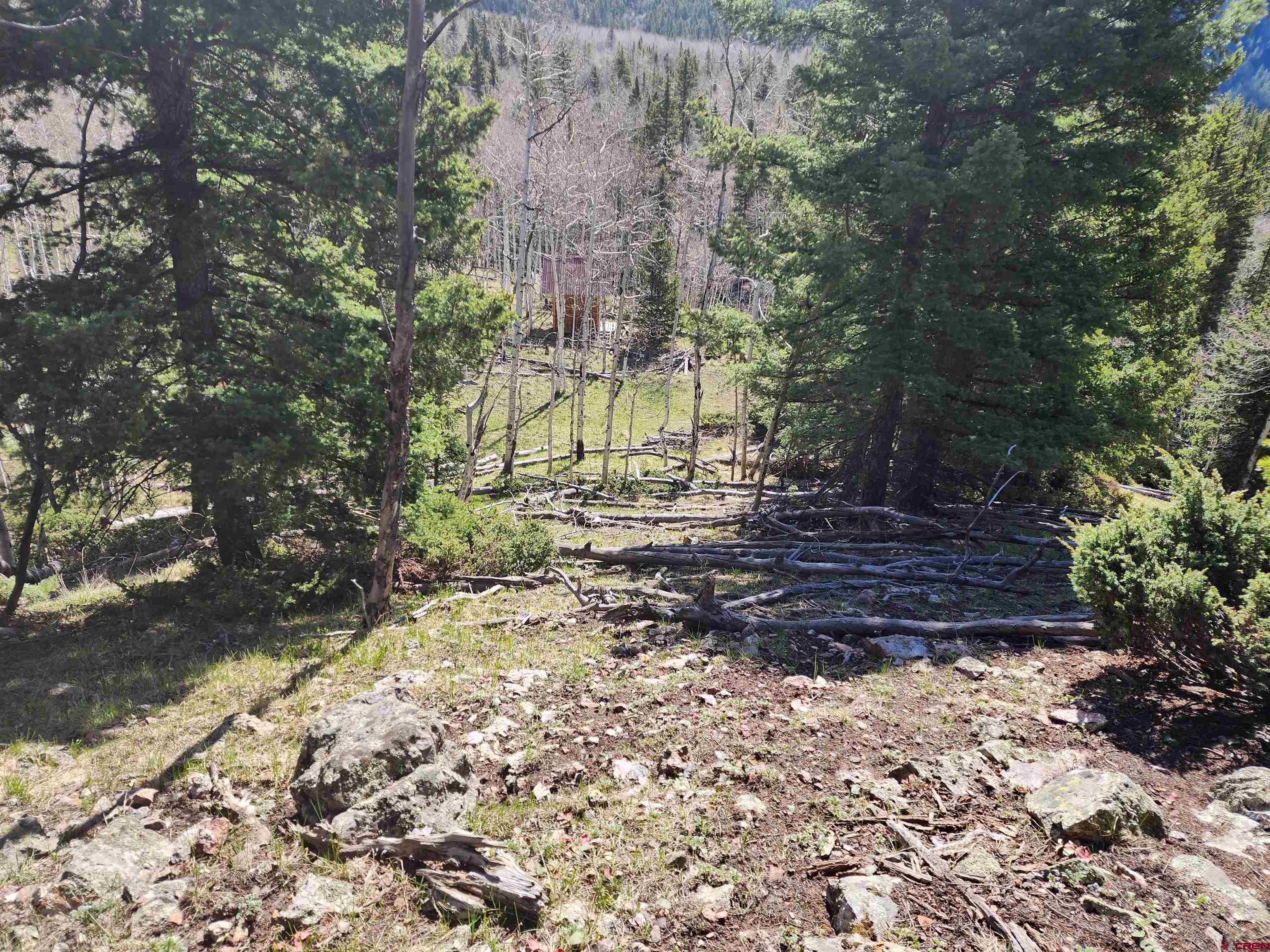 Lot 2-6 & 10-12 Spring Street Del Norte, CO 81132 - Photo 12 of 14 a view of a yard with plants and trees