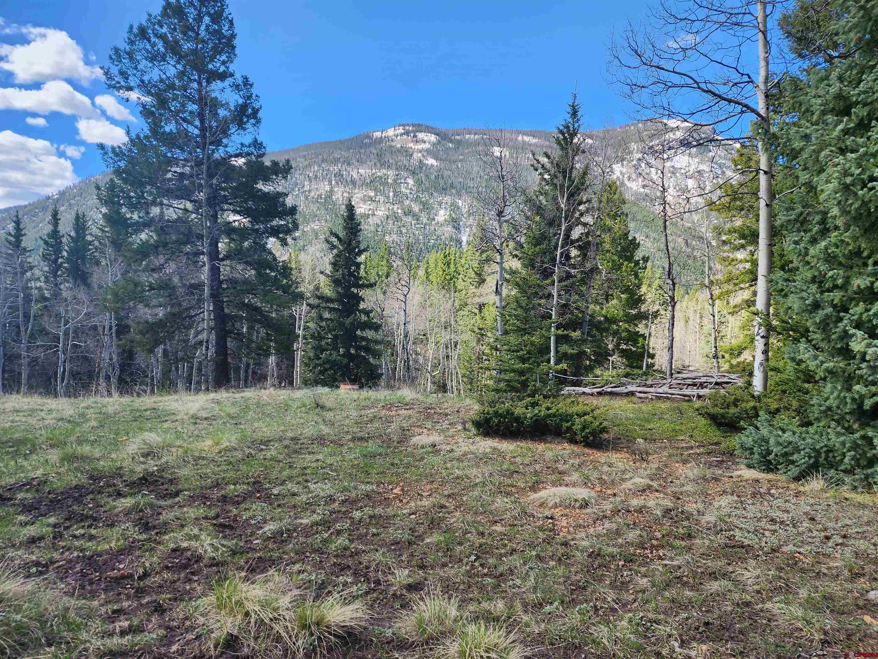 Lot 2-6 & 10-12 Spring Street Del Norte, CO 81132 - Photo 4 of 14 a view of a backyard with large trees