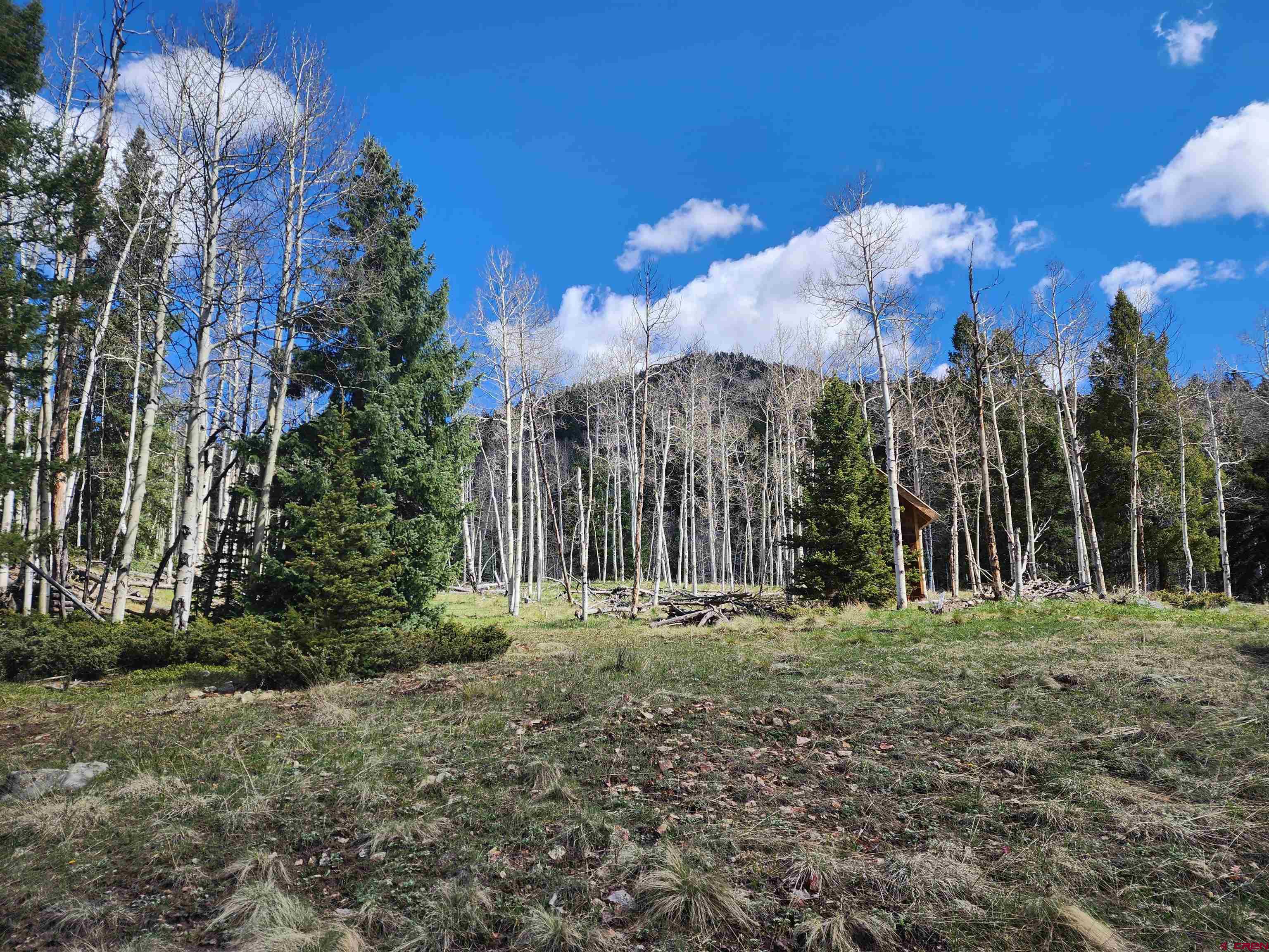Lot 2-6 & 10-12 Spring Street Del Norte, CO 81132 - Photo 5 of 14 a view of a yard with palm trees