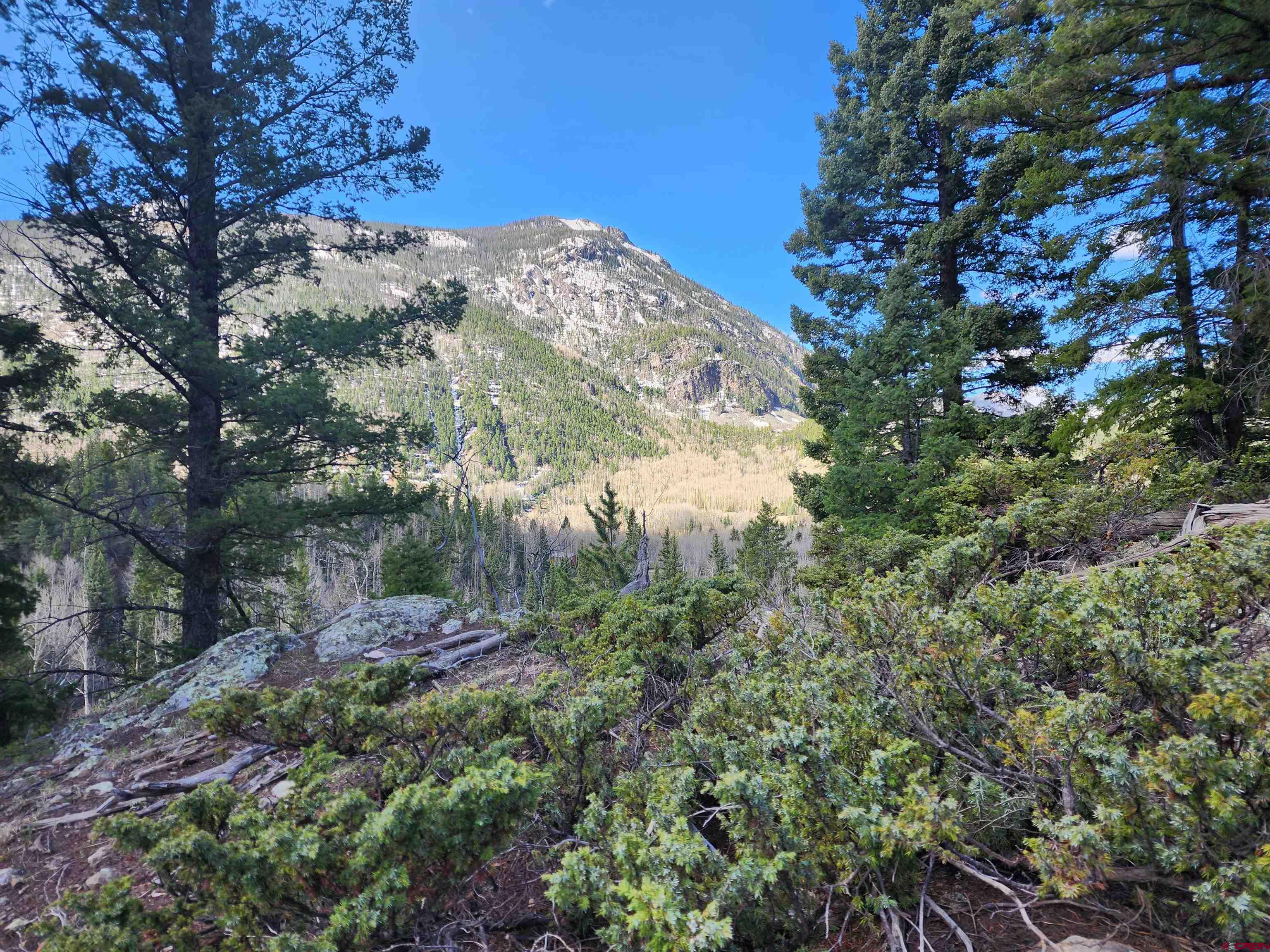 Lot 2-6 & 10-12 Spring Street Del Norte, CO 81132 - Photo 6 of 14 a view of a tree in a yard