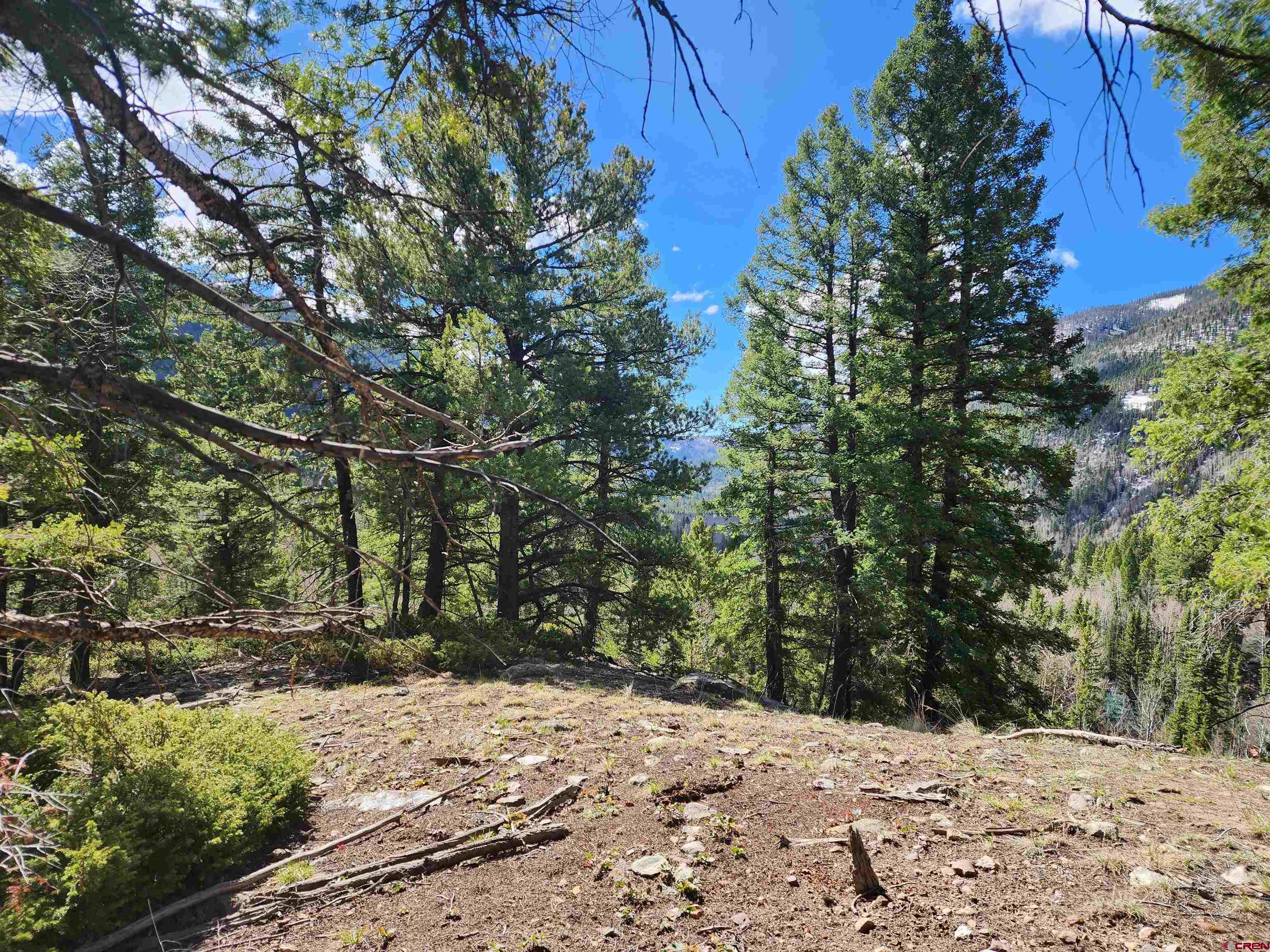 Lot 2-6 & 10-12 Spring Street Del Norte, CO 81132 - Photo 9 of 14 a view of a yard with trees