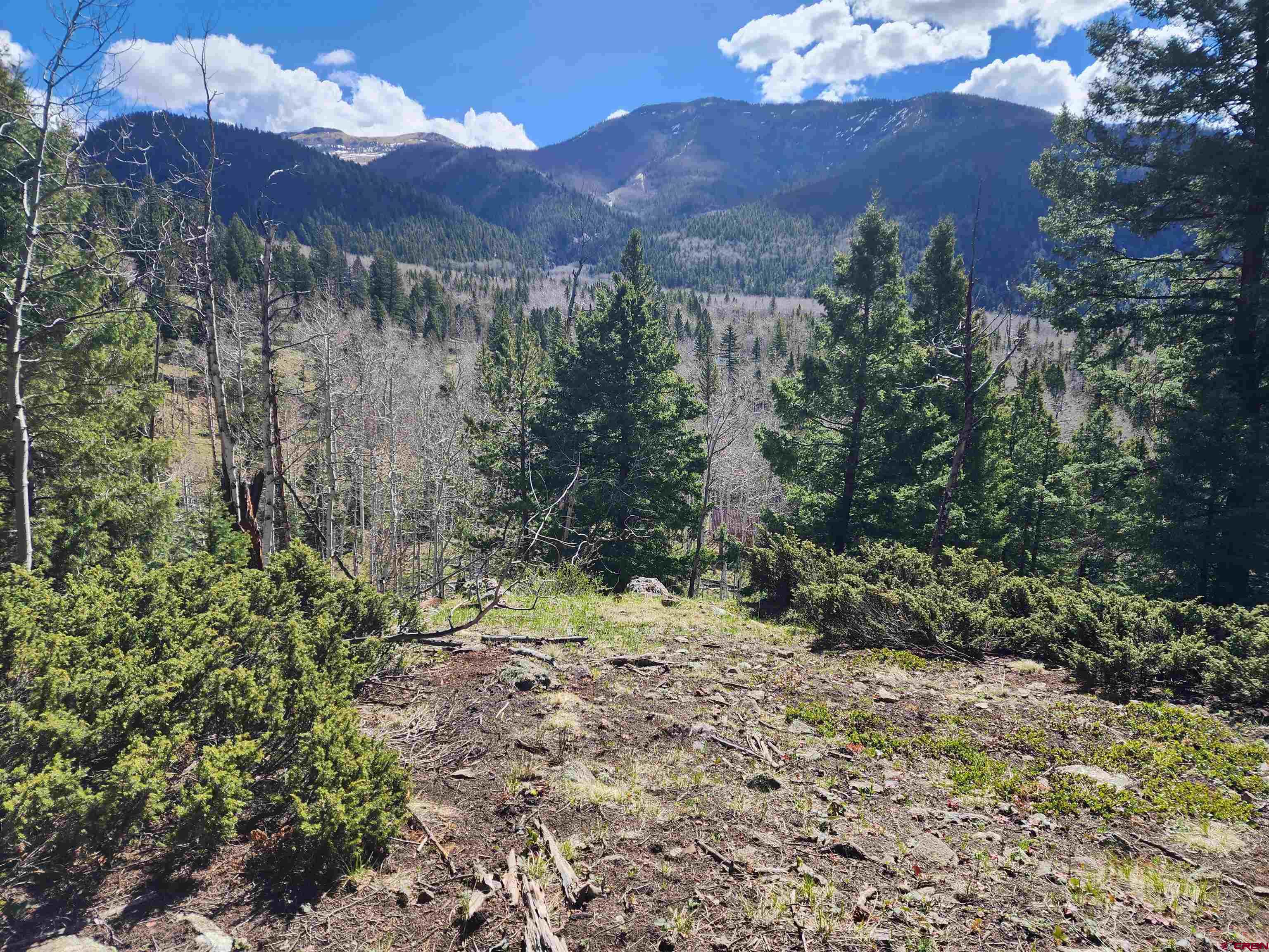 Lot 2-6 & 10-12 Spring Street Del Norte, CO 81132 - Photo 10 of 14 a view of a street with mountains and large trees