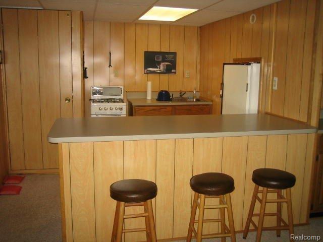 2164 London Bridge Drive Rochester, MI 48307 - Photo 12 of 14 Lower Level Kitchenette