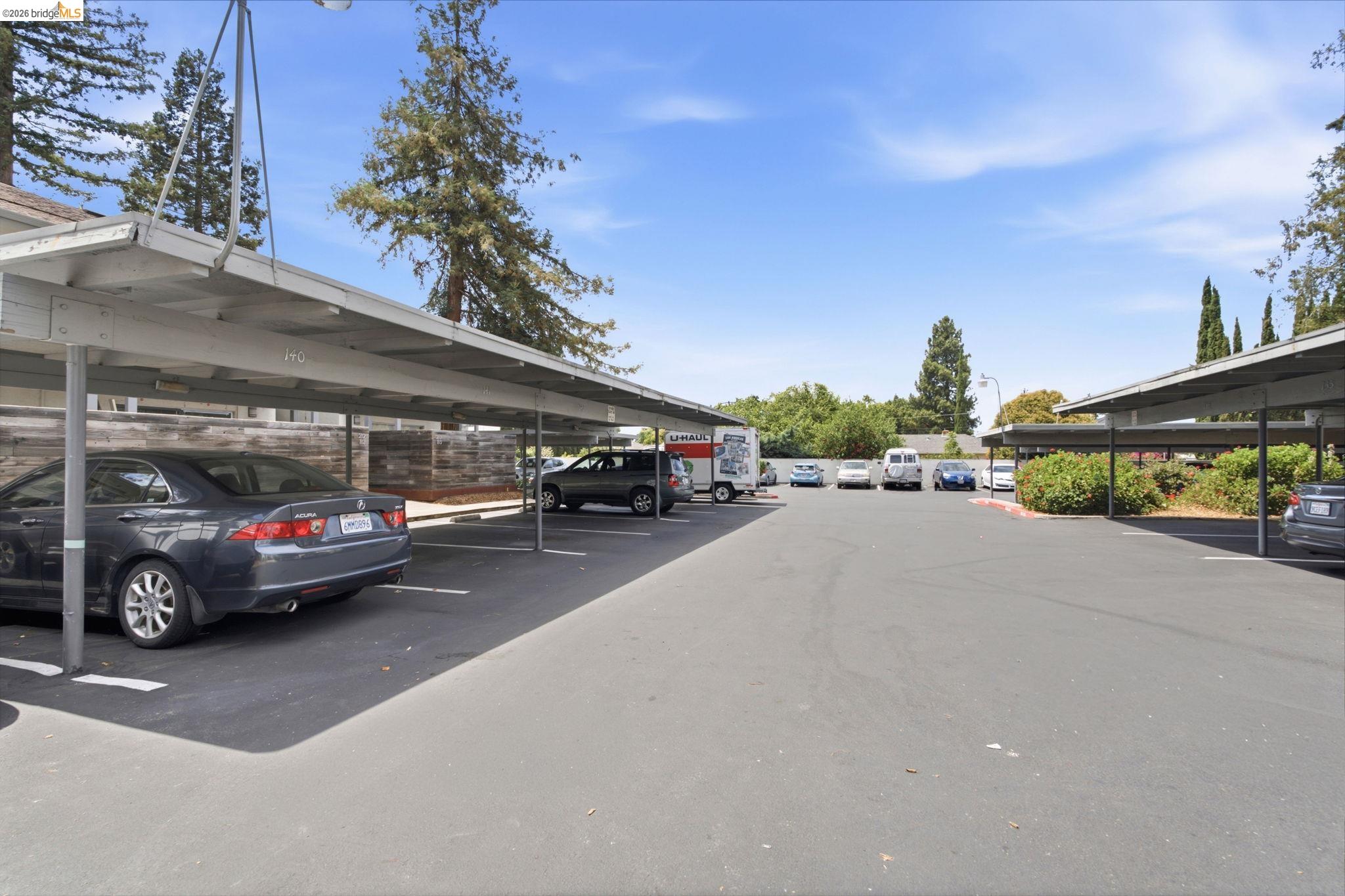 4081 Clayton Road, Unit 209 Concord, CA 94521 - Photo 38 of 47 Paved parking area featuring multiple covered carports with dedicated parking spaces