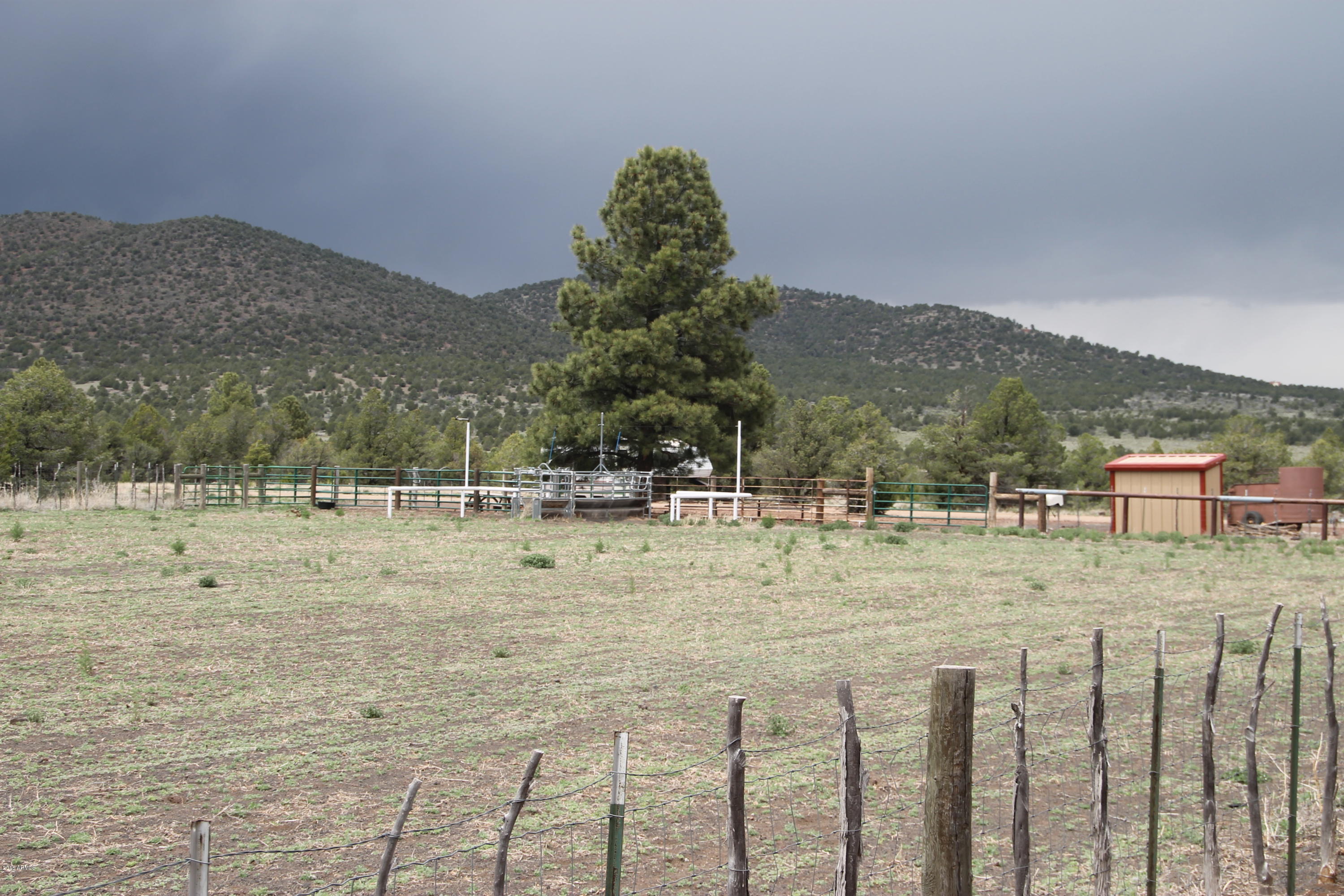 5532 Pitt Tank Road Williams, AZ 86046 - Photo 16 of 17 IMG_3353