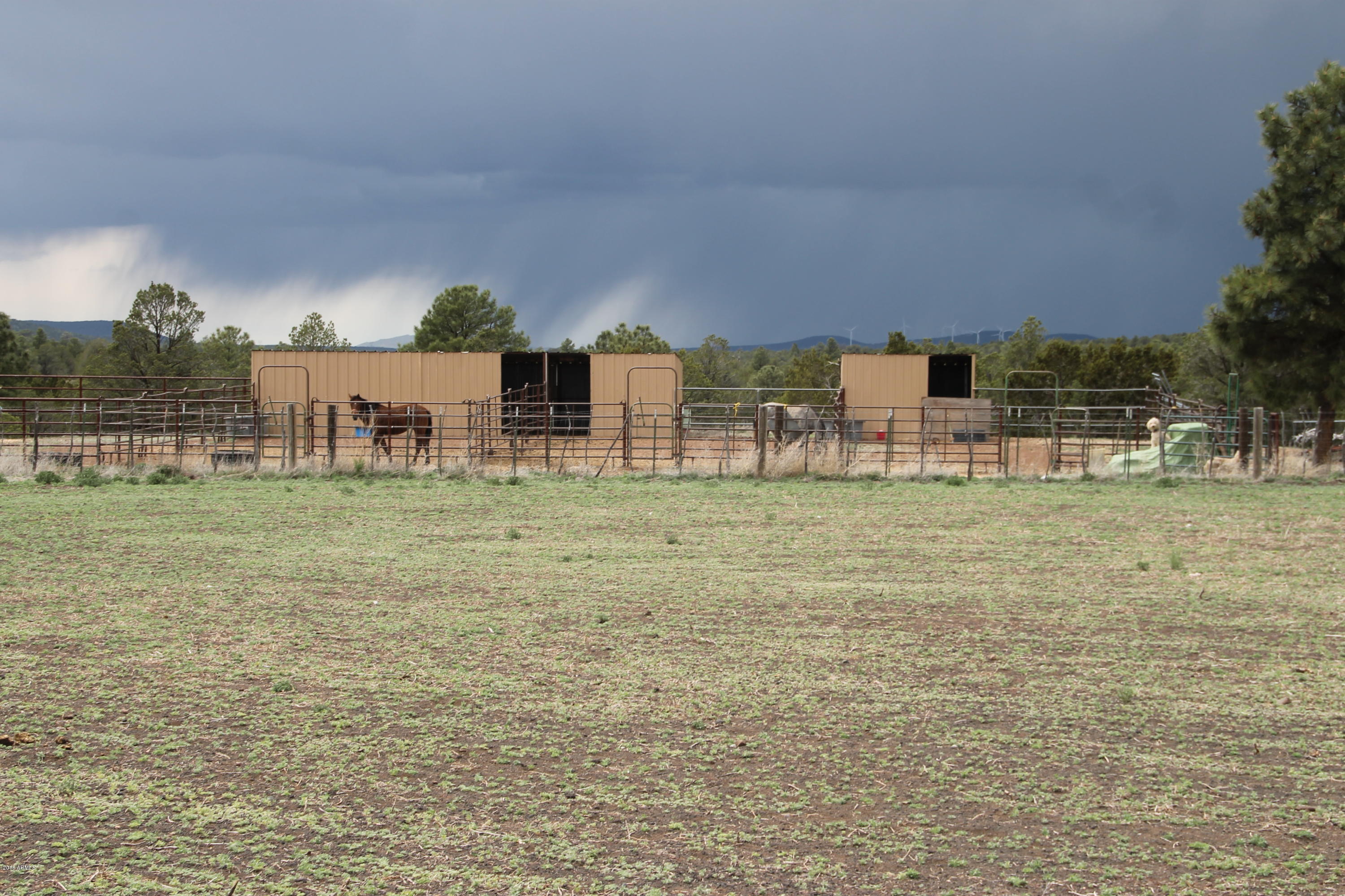 5532 Pitt Tank Road Williams, AZ 86046 - Photo 17 of 17 IMG_3351