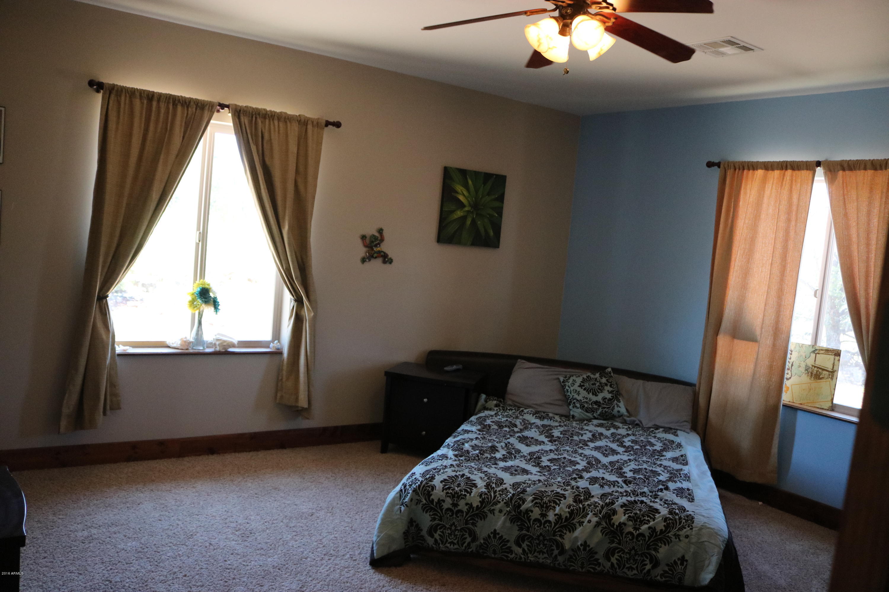 santacruzeasterandarizona 578 (1)
