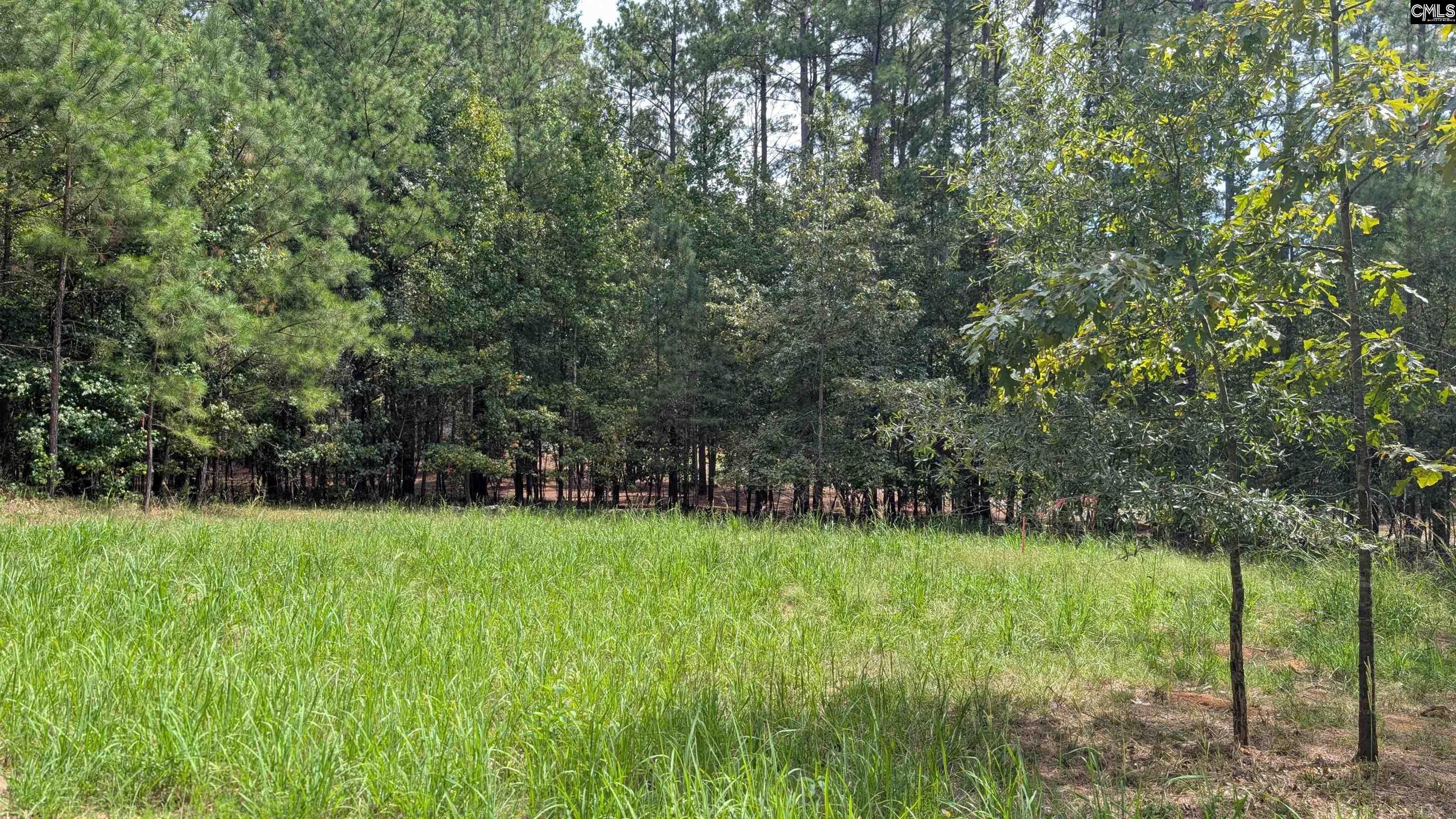 19 North Dutchman Creek Road Ridgeway, SC 29130 - Photo 41 of 43 Gallery Image 41