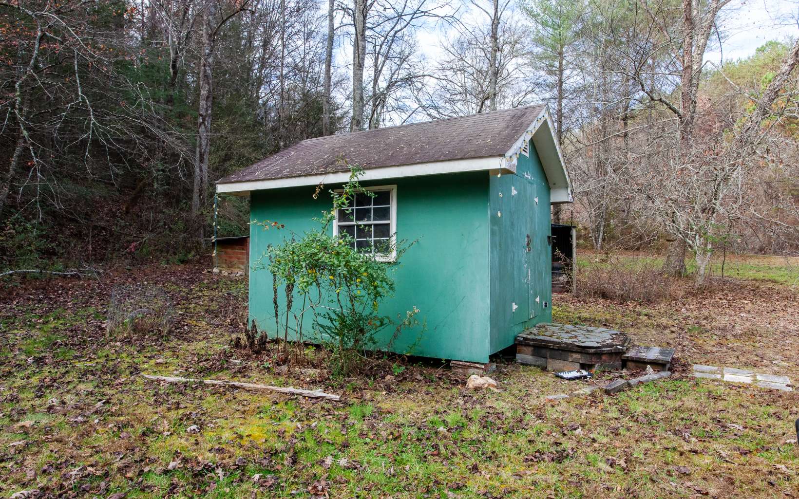 175 Orchard Drive Murphy, NC 28906 - Photo 62 of 66 Additional View
