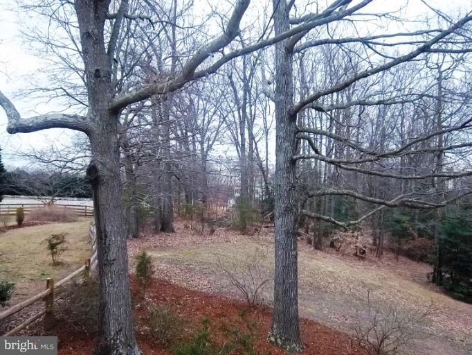 7131 Stuart Road King George, VA 22485 - Photo 21 of 22 Exterior (Rear)