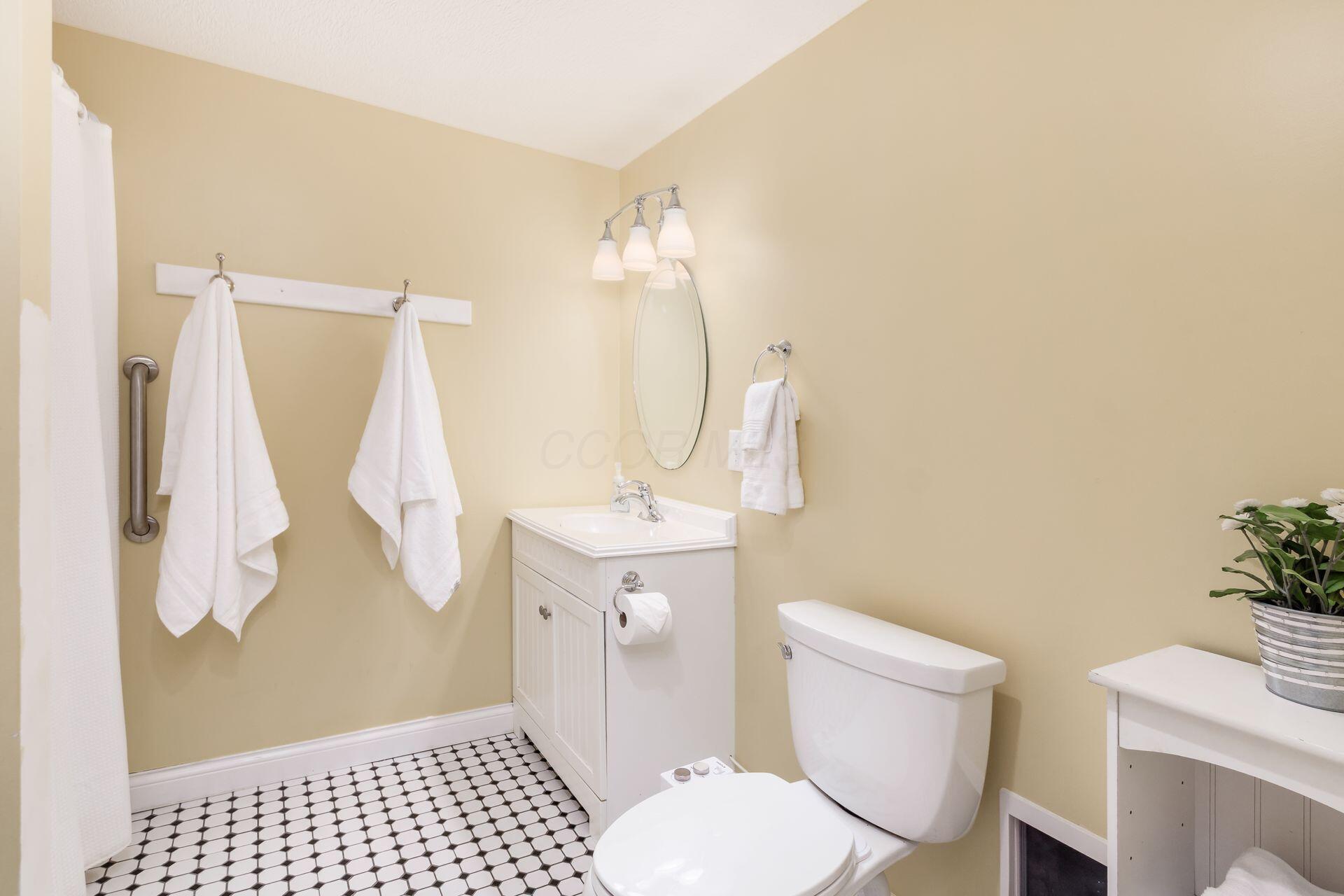 2467 Roe Drive Lewis Center, OH 43035 - Photo 38 of 50 Full bath with shower in the lower level rec room.