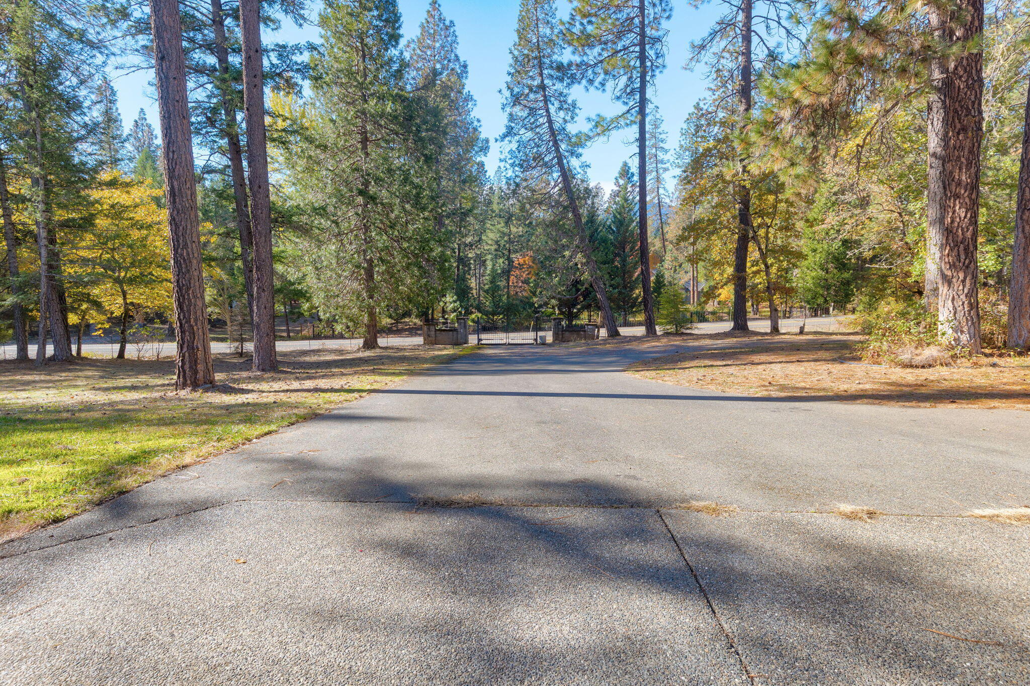 7118 Redthorne Road Rogue River, OR 97537 - Photo 52 of 63 Paved Driveway
