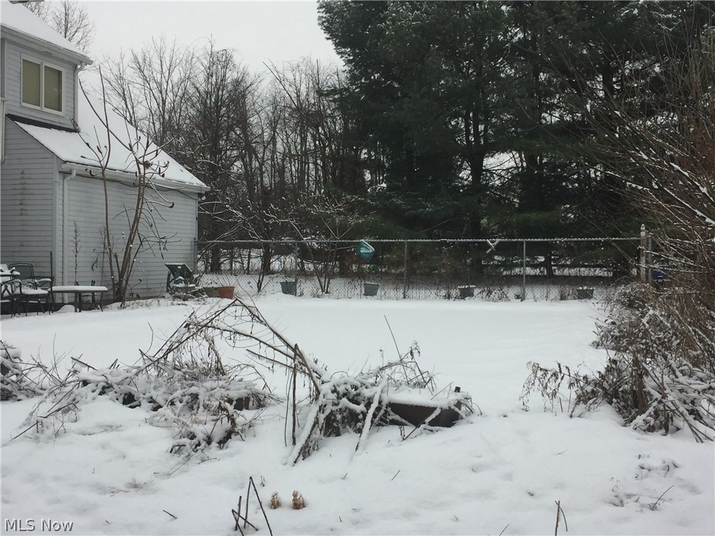 9730 New Buffalo Road Canfield, OH 44406 - Photo 7 of 19 Gallery Image 7