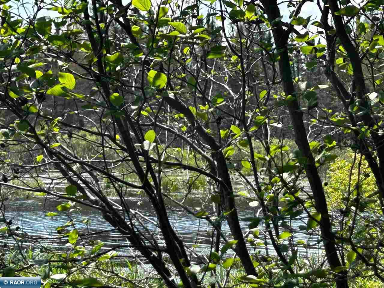 7862 Teinila Road Embarrass, MN 55732 - Photo 10 of 31