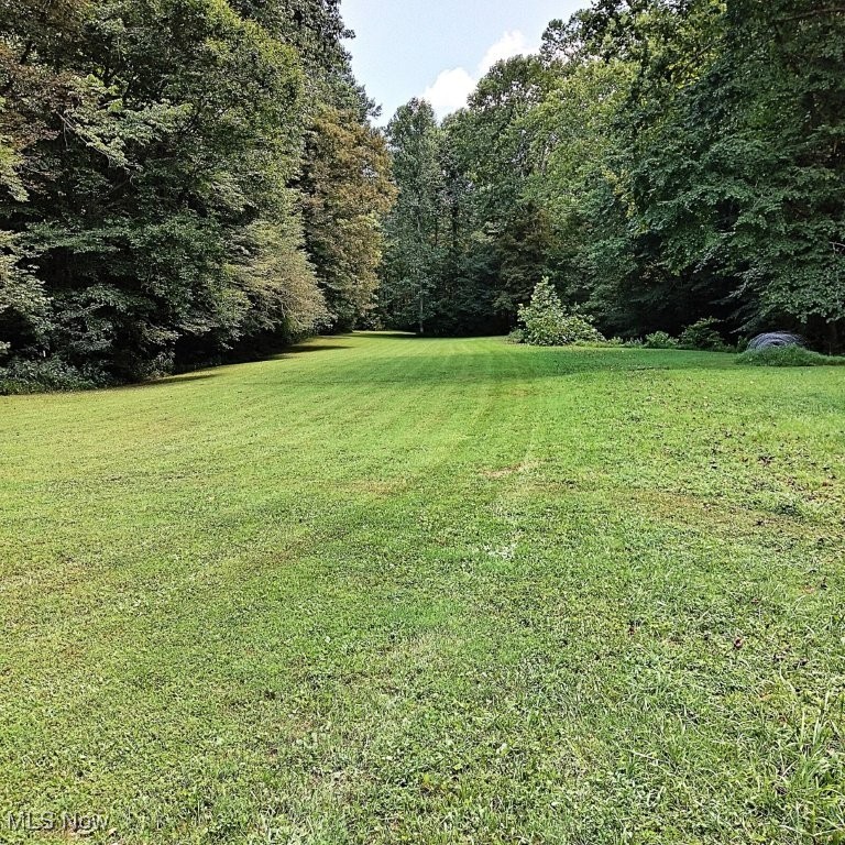 88 Ivy Road Walton, WV 25286 - Photo 35 of 37