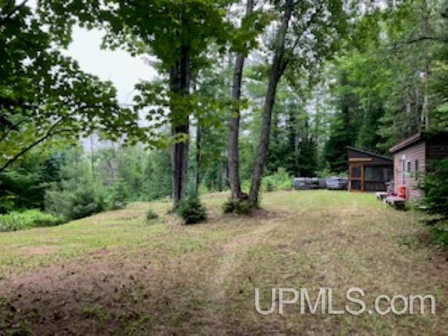 E6646 Doe Lake Road Munising, MI 49862 - Photo 21 of 24
