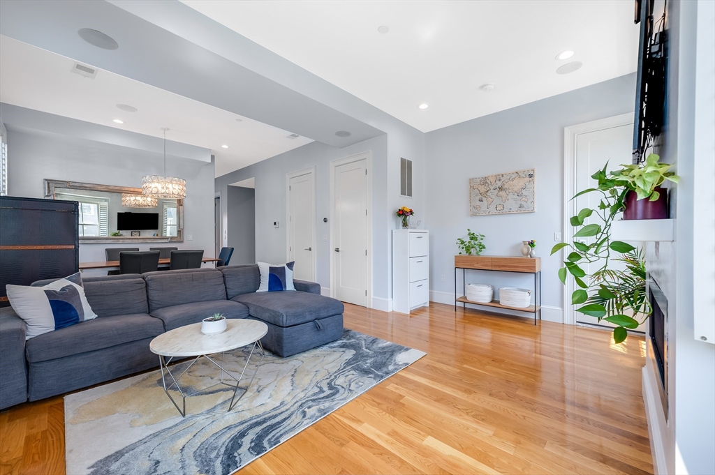 480 East 4th Street, Unit 3 Boston, MA 02127 - Photo 4 of 25 a living room with furniture or couch and a potted plant