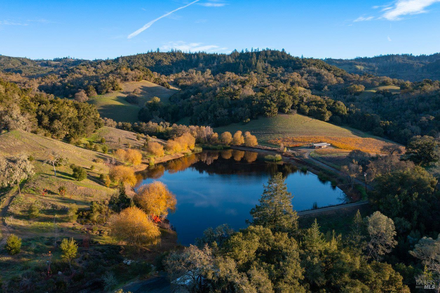 970-960 Conn Valley Road St. Helena, CA 94574 - Photo 27 of 49 Gallery Image 27