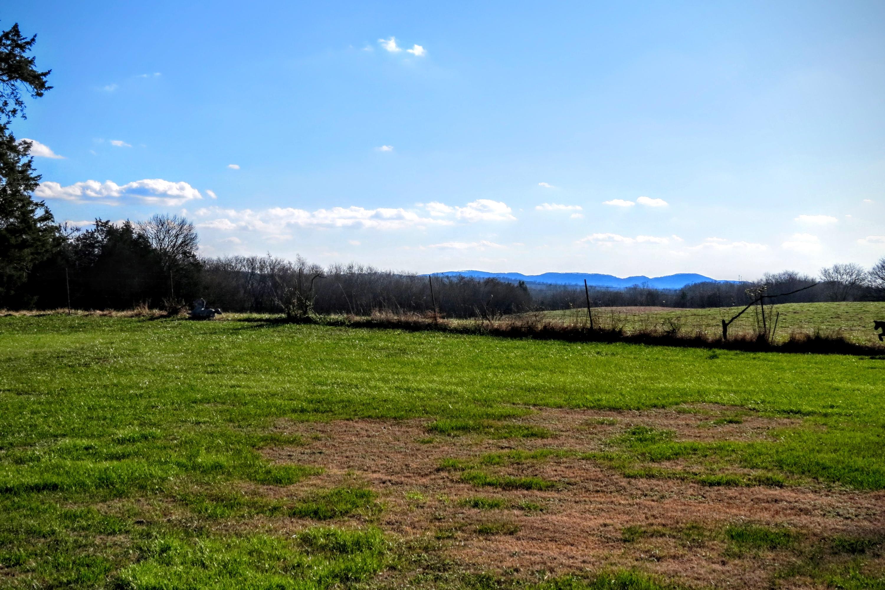 375 Sanders Road Georgetown, TN 37336 - Photo 34 of 40 IMG_5196