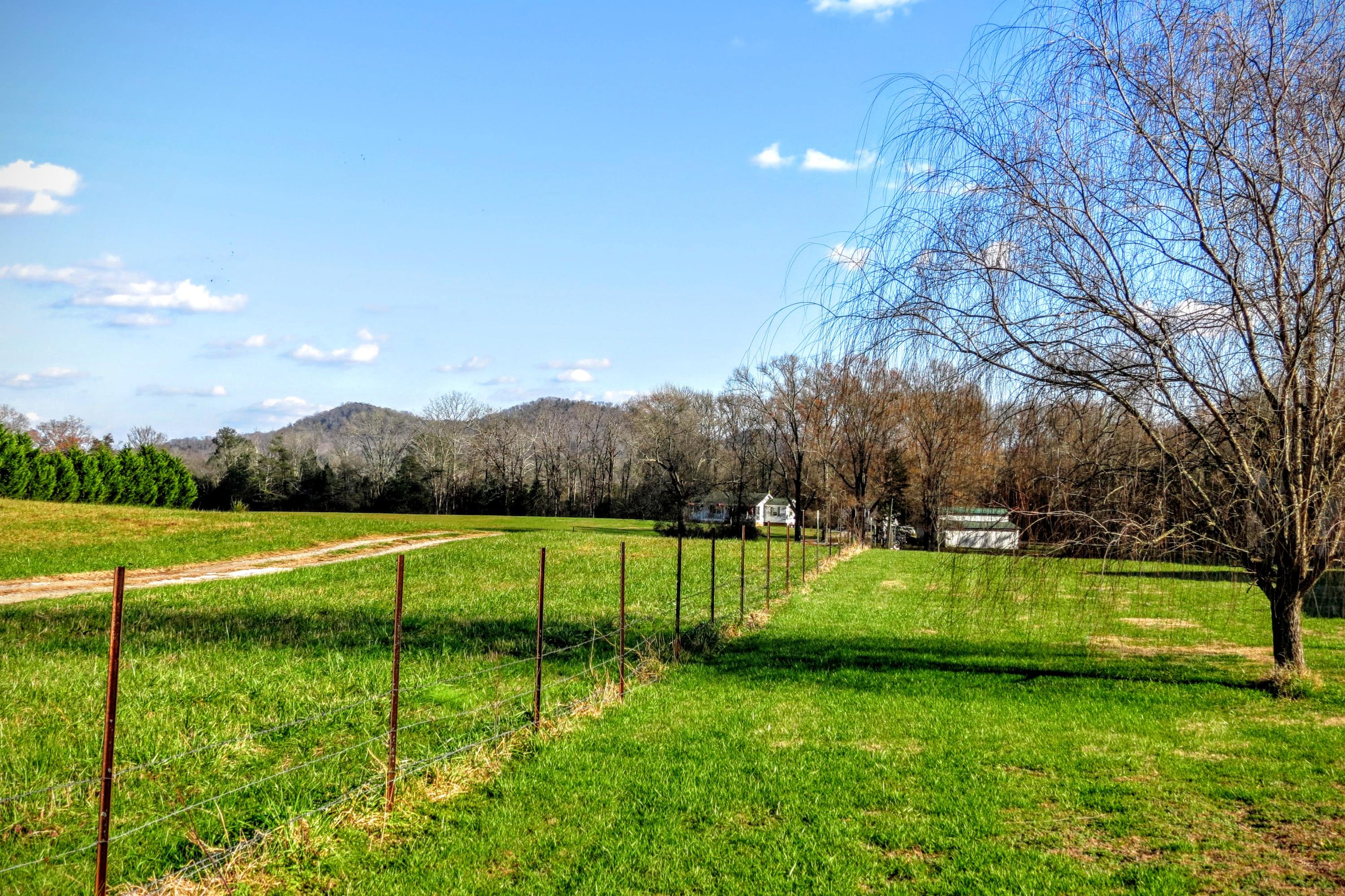 375 Sanders Road Georgetown, TN 37336 - Photo 35 of 40 IMG_5200