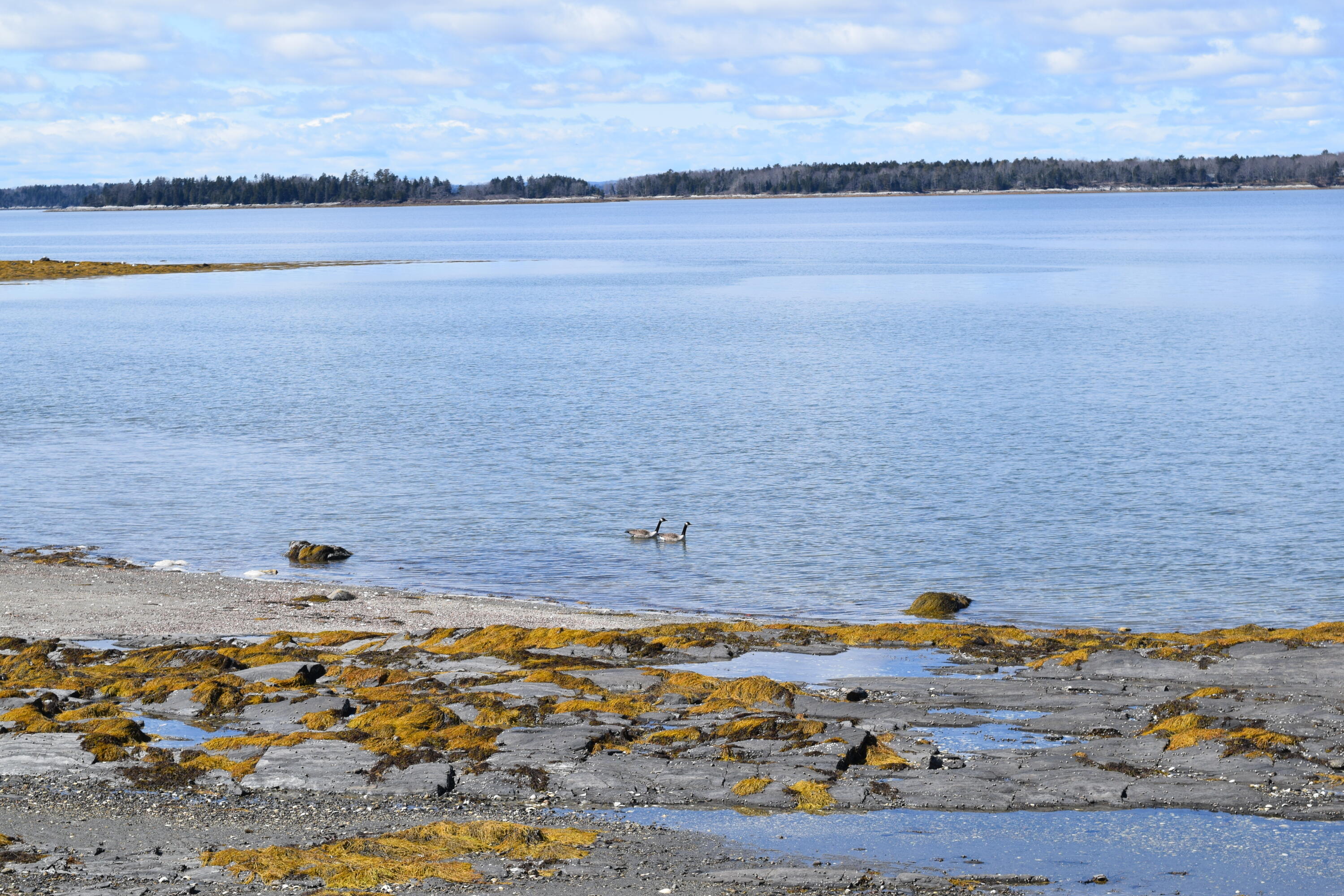 34 Gingers Road Harpswell, ME 04079 - Photo 13 of 44 DSC_1484