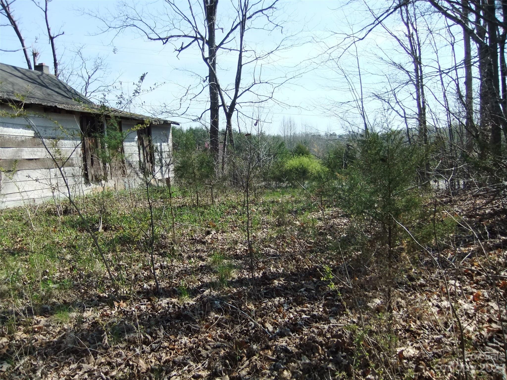 182 Roper Loop Road Rutherfordton, NC 28139 - Photo 24 of 42 a view of a yard in front of house