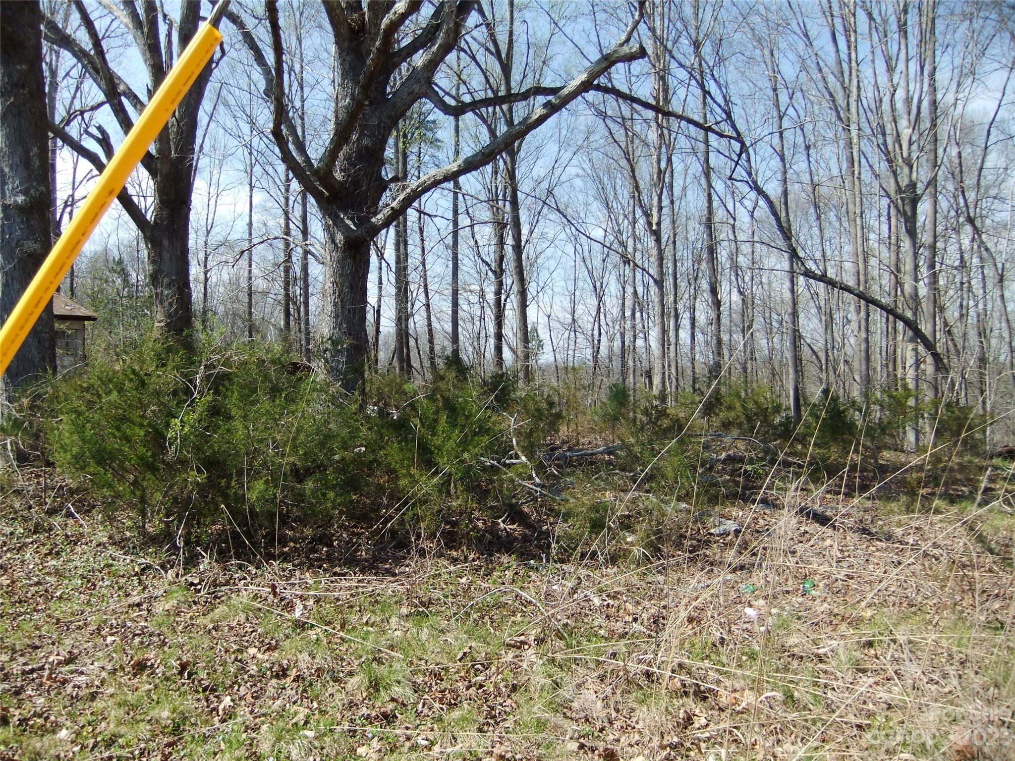 182 Roper Loop Road Rutherfordton, NC 28139 - Photo 40 of 42 a backyard of a house with lots of green space