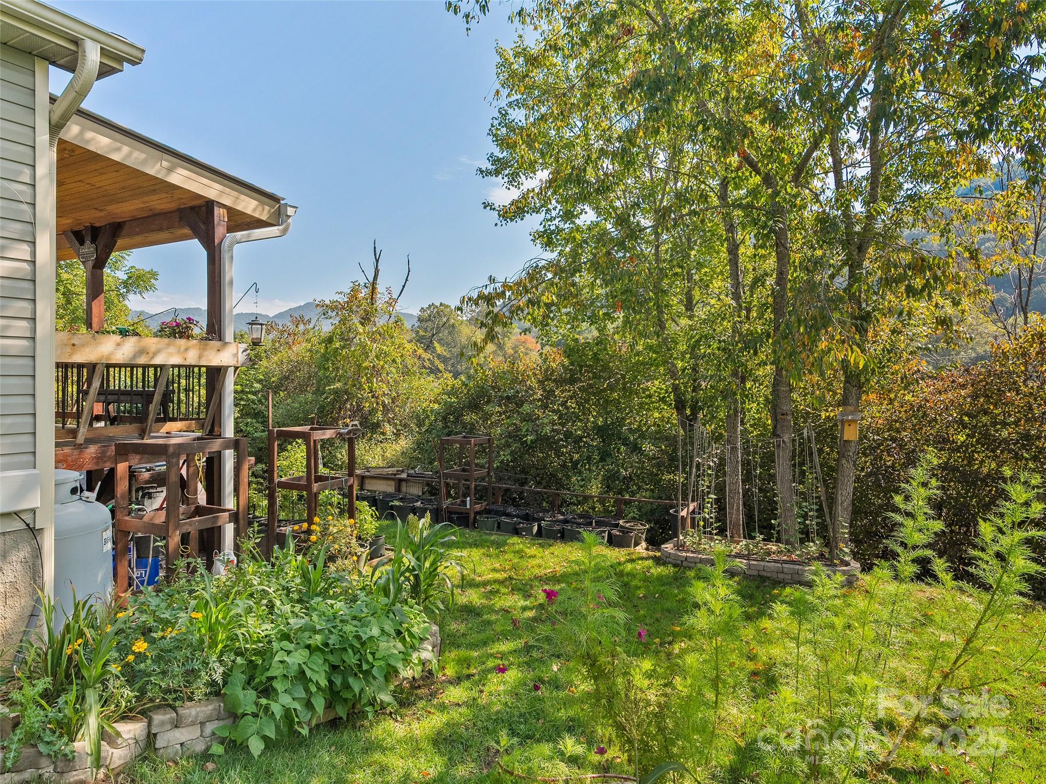 254 February Lane Waynesville, NC 28785 - Photo 22 of 24